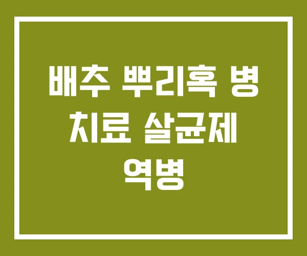배추 뿌리혹 병 치료 살균제 역병