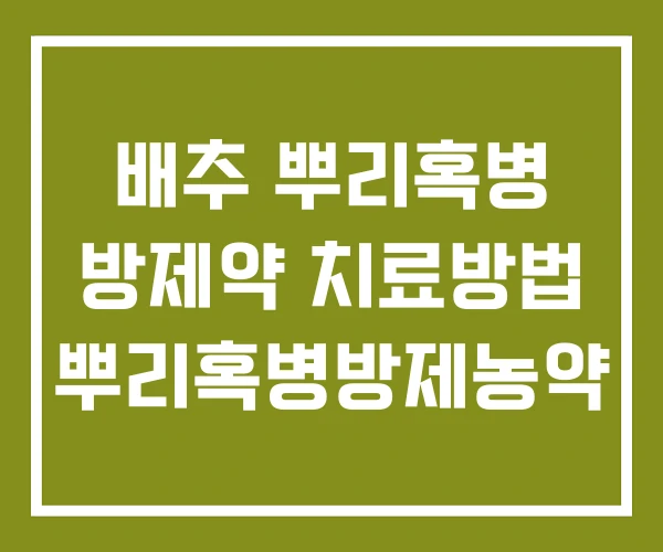 배추 뿌리혹병 방제약 치료방법 뿌리혹병방제농약