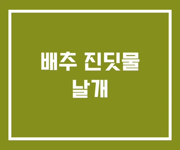 배추 진딧물 날개