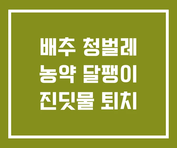 배추 청벌레 농약 달팽이 진딧물 퇴치