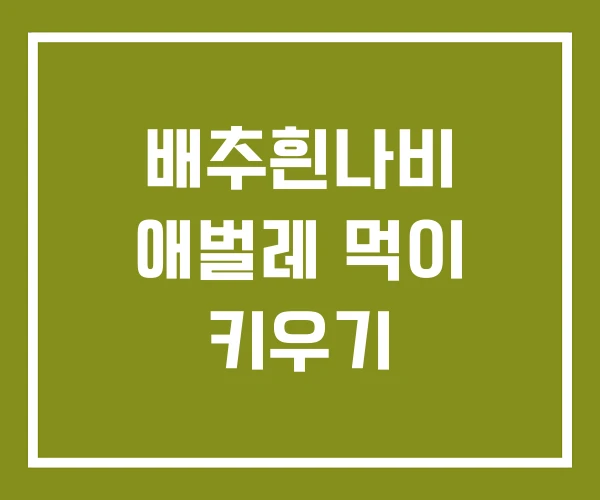 배추흰나비 애벌레 먹이 키우기 배추흰나비 애벌레 먹이 키우기