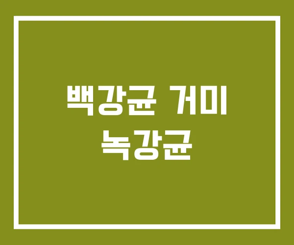 백강균 거미 녹강균