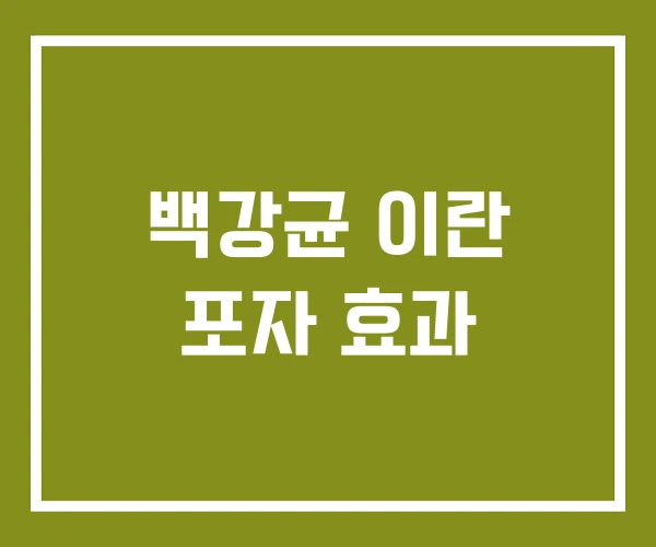 백강균 이란 포자 효과