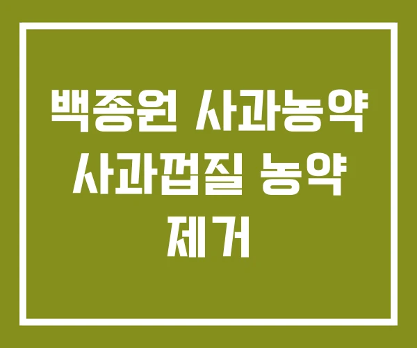 백종원 사과농약 사과껍질 농약 제거 백종원 사과농약 사과껍질 농약 제거