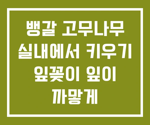 뱅갈 고무나무 실내에서 키우기 잎꽂이 잎이 까맣게 뱅갈 고무나무 실내에서 키우기 잎꽂이 잎이 까맣게