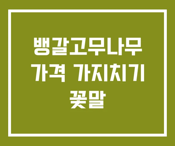 뱅갈고무나무 가격 가지치기 꽃말