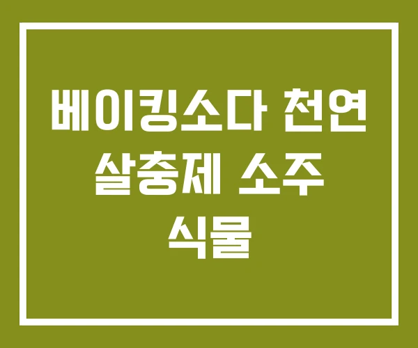 베이킹소다 천연 살충제 소주 식물 베이킹소다 천연 살충제 소주 식물
