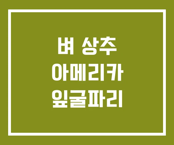 벼 상추 아메리카 잎굴파리