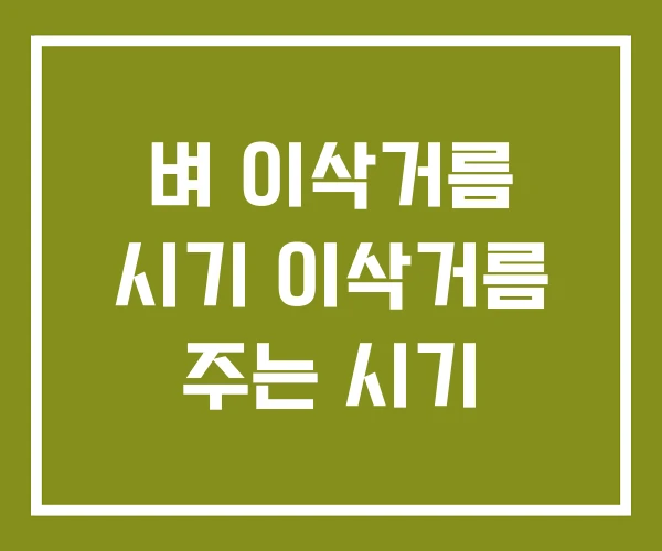 벼 이삭거름 시기 이삭거름 주는 시기