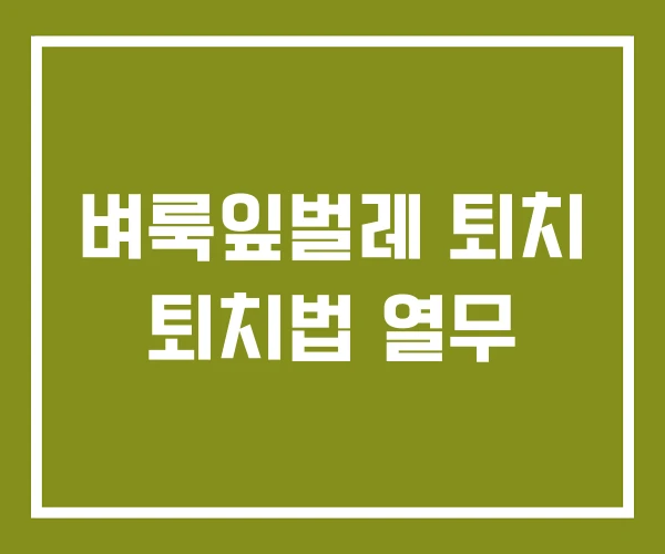 벼룩잎벌레 퇴치 퇴치법 열무