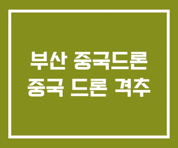 부산 중국드론 중국 드론 격추 부산 중국드론 중국 드론 격추
