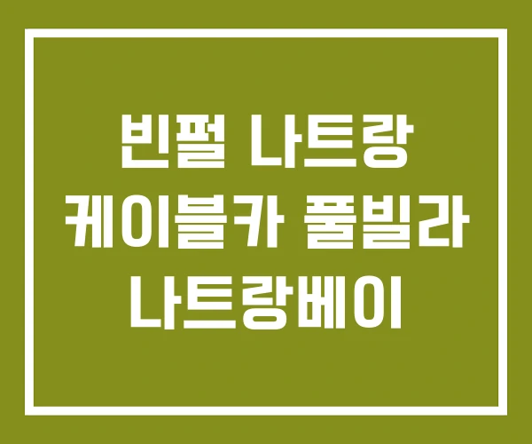 빈펄 나트랑 케이블카 풀빌라 나트랑베이