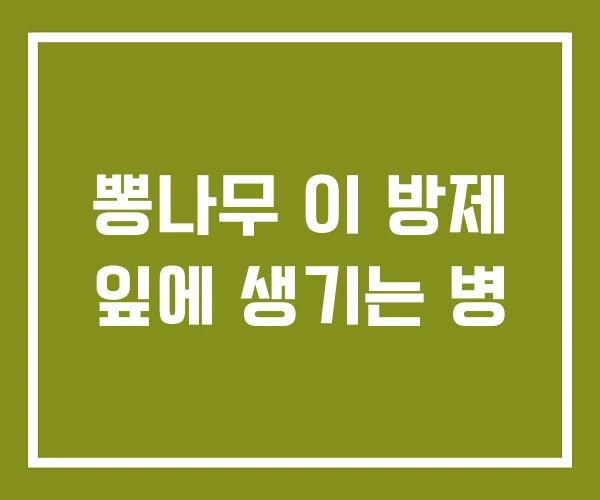 뽕나무 이 방제 잎에 생기는 병 뽕나무 이 방제 잎에 생기는 병