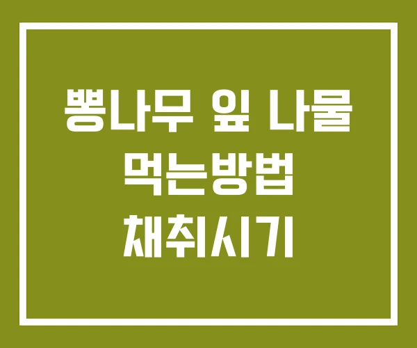 뽕나무 잎 나물 먹는방법 채취시기