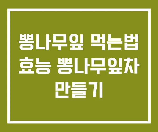 뽕나무잎 먹는법 효능 뽕나무잎차 만들기