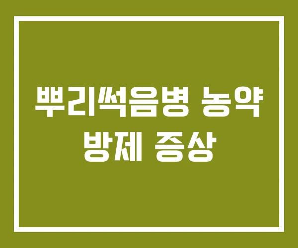 뿌리썩음병 농약 방제 증상