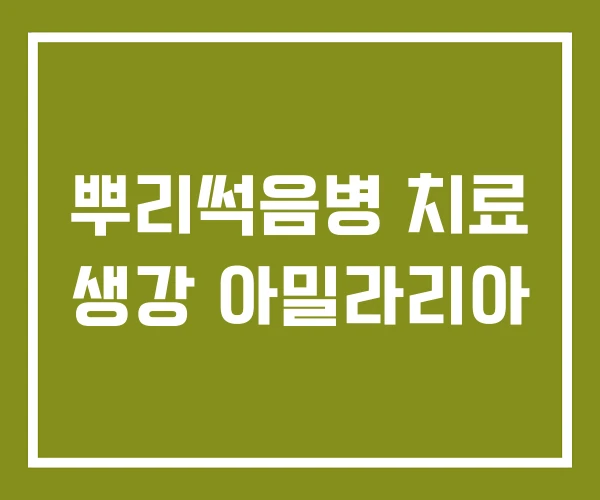 뿌리썩음병 치료 생강 아밀라리아