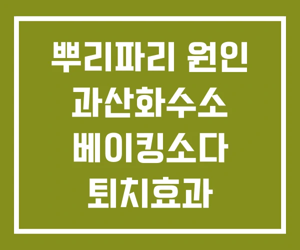 뿌리파리 원인 과산화수소 베이킹소다 퇴치효과 뿌리파리 원인 과산화수소 베이킹소다 퇴치효과
