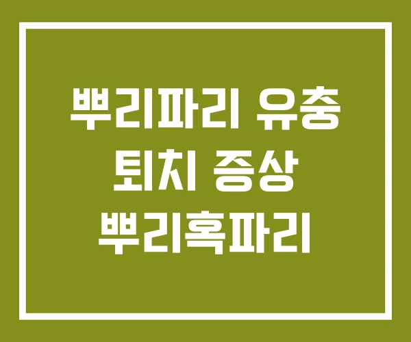 뿌리파리 유충 퇴치 증상 뿌리혹파리