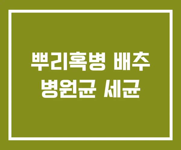 뿌리혹병 배추 병원균 세균