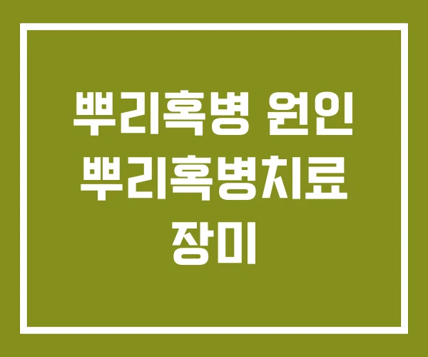 뿌리혹병 원인 뿌리혹병치료 장미