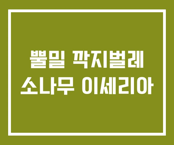 뿔밀 깍지벌레 소나무 이세리아