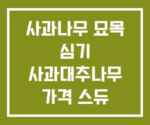 사과나무 묘목 심기 사과대추나무 가격 스듀 나무묘목