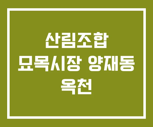 산림조합 묘목시장 양재동 옥천 산림조합 묘목시장 양재동 옥천