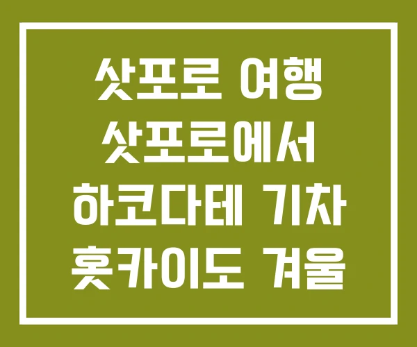 삿포로 여행 삿포로에서 하코다테 기차 홋카이도 겨울 기차여행