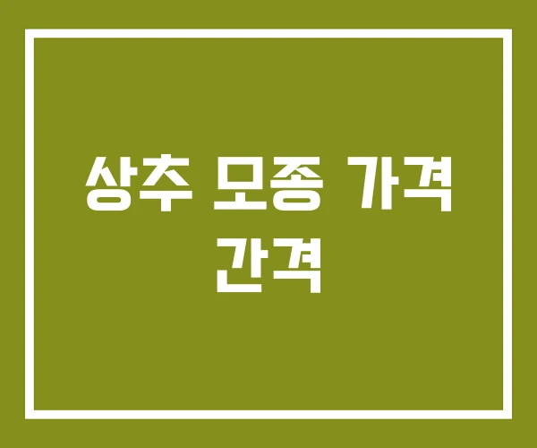 상추 모종 가격 간격