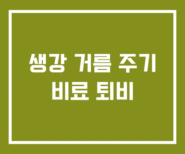 생강 거름 주기 비료 퇴비