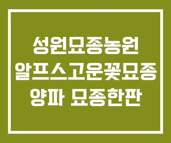 성원묘종농원 알프스고운꽃묘종 양파 묘종한판