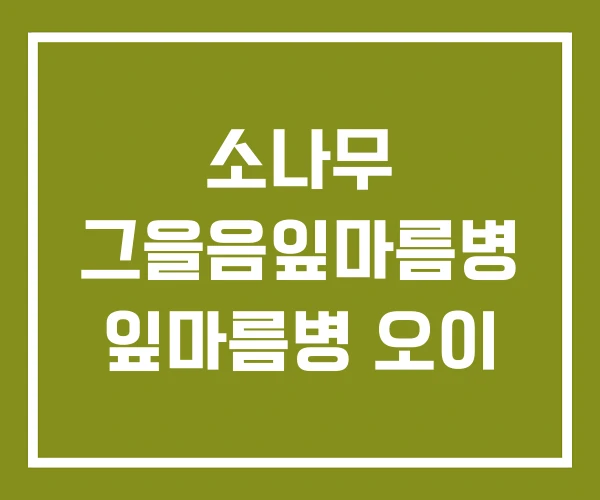 소나무 그을음잎마름병 잎마름병 오이