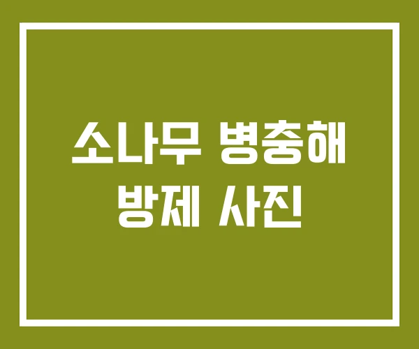소나무 병충해 방제 사진