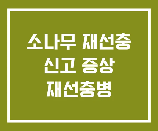 소나무 재선충 신고 증상 재선충병 소나무 재선충 신고 증상 재선충병