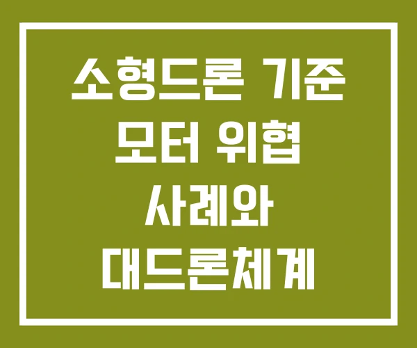 소형드론 기준 모터 위협 사례와 대드론체계 발전방향