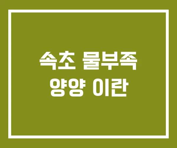 속초 물부족 양양 이란