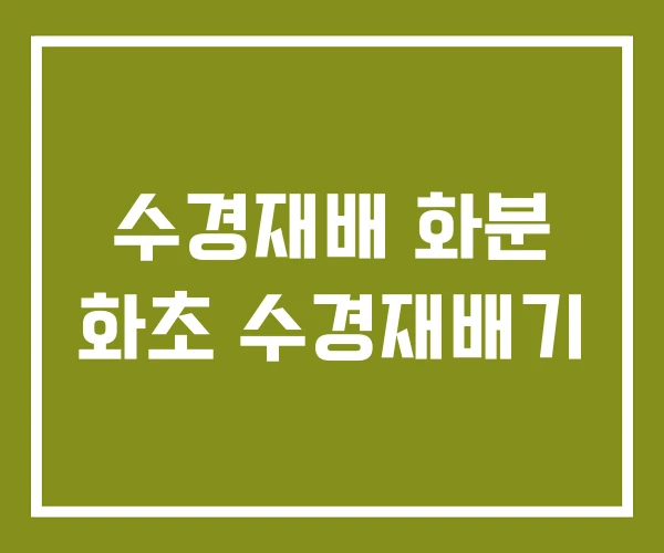 수경재배 화분 화초 수경재배기
