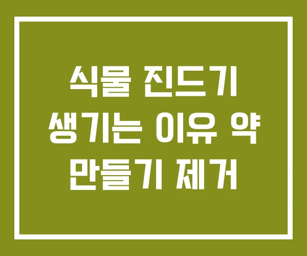 식물 진드기 생기는 이유 약 만들기 제거