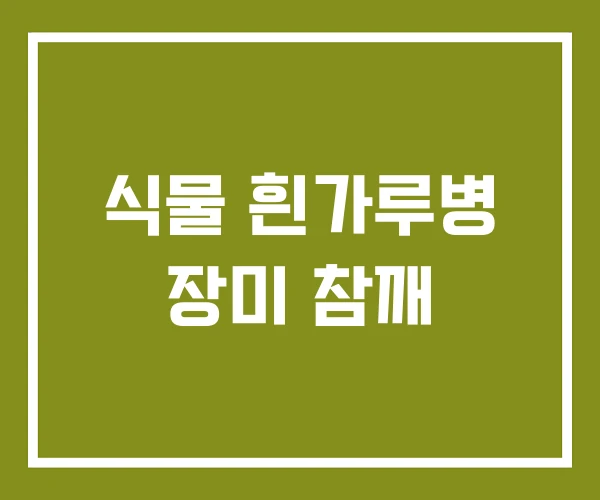 식물 흰가루병 장미 참깨