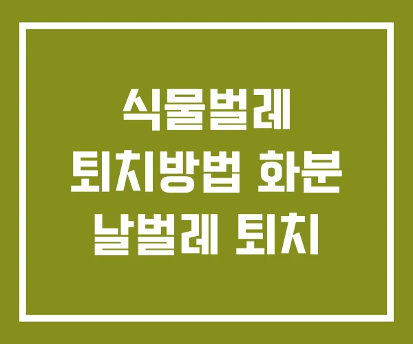 식물벌레 퇴치방법 화분 날벌레 퇴치