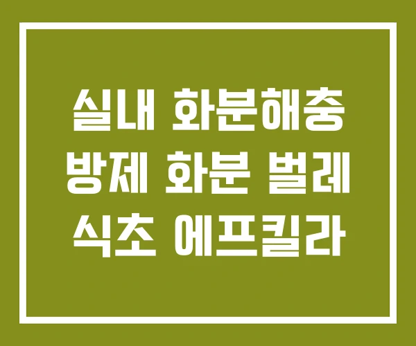 실내 화분해충 방제 화분 벌레 식초 에프킬라