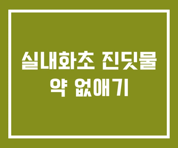 실내화초 진딧물 약 없애기