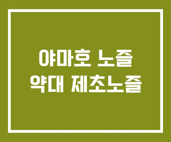 야마호 노즐 약대 제초노즐 야마호 노즐 약대 제초노즐