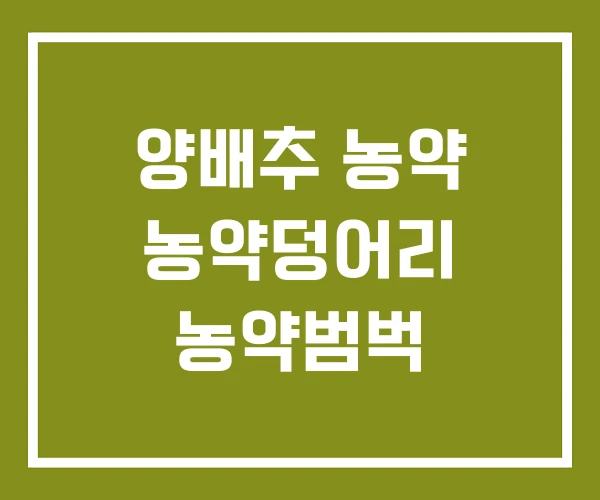 양배추 농약 농약덩어리 농약범벅