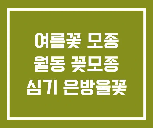 여름꽃 모종 월동 꽃모종 심기 은방울꽃