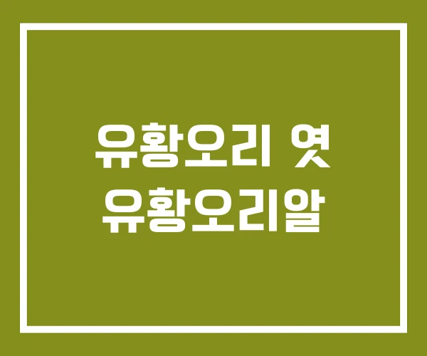 유황오리 엿 유황오리알 유황오리 엿 유황오리알