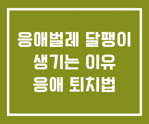 응애벌레 달팽이 생기는 이유 응애 퇴치법