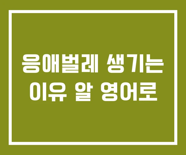 응애벌레 생기는 이유 알 영어로