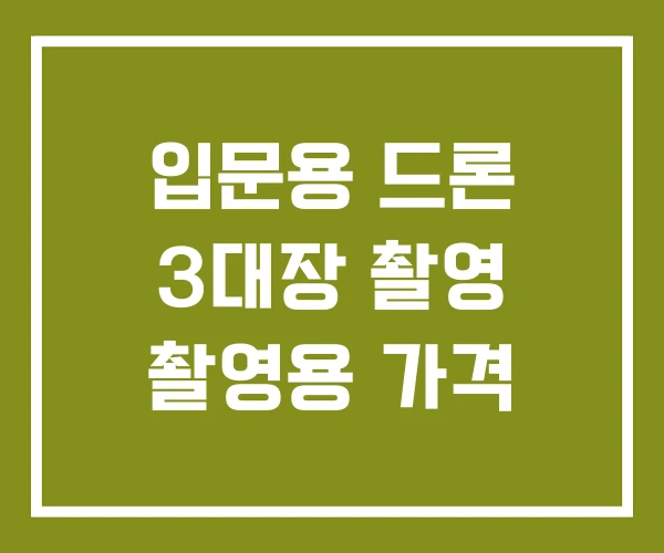 입문용 드론 3대장 촬영 촬영용 가격